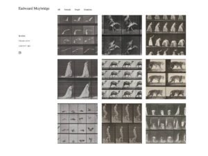 Free Art Portfolio WordPress Theme