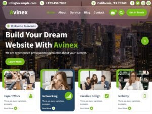 Free Avinex WordPress Theme