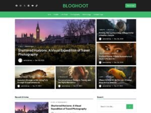 Free Bloghoot WordPress Theme