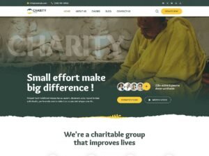 Free Bosa Charity Firm WordPress Theme