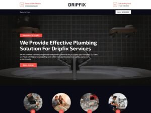 Free Dripfix WordPress Theme