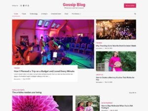 Free Gossip Blog WordPress Theme