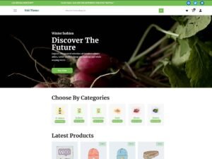 Free NAS Organic Food Store WordPress Theme
