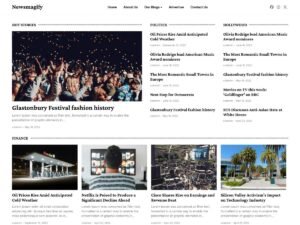 Free Newsmagify WordPress Theme