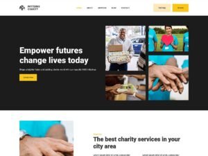 Free Patterns Charity WordPress Theme