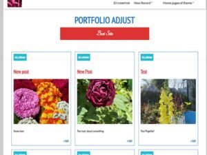 Free Portfolio Adjust WordPress Theme