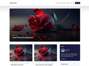 Free Soledad Blog Lite WordPress Theme