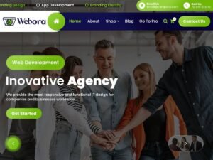 Free Webora WordPress Theme