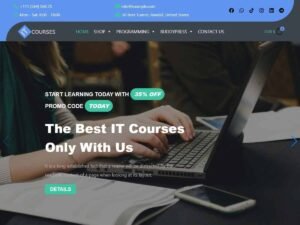 Free wp it courses WordPress Theme