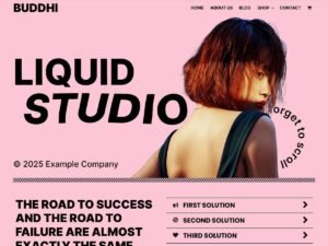 Free Buddhi WordPress Theme