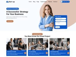 Free Business Startup Expert WordPress Theme