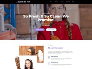 Free Cleaning TWP WordPress Theme