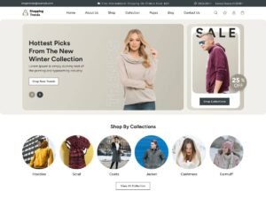 Free Clothing Store Lite WordPress Theme
