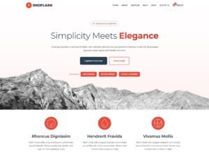 Free DigiFlash WordPress Theme