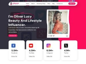 Free Expert Influencer Agency WordPress Theme