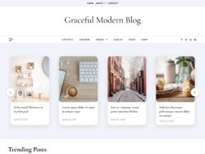 Free Graceful Modern Blog WordPress Theme