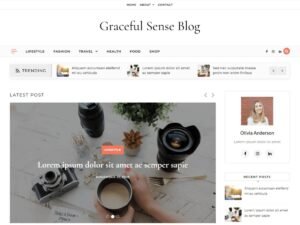 Free Graceful Sense Blog WordPress Theme