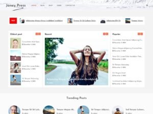 Free Janey Press WordPress Theme