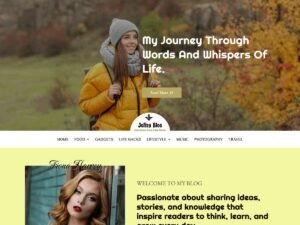 Free Jolity Blog WordPress Theme