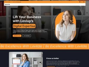Free Leviup WordPress Theme