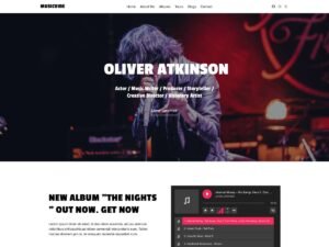 Free MusicVibe WordPress Theme