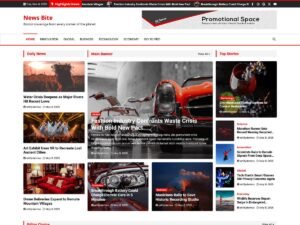 Free News Bite WordPress Theme