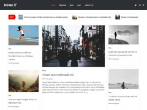 Free News It WordPress Theme