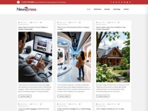 Free Newsexpress WordPress Theme