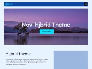 Free Novi WordPress Theme