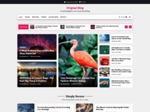 Free Original Blog WordPress Theme