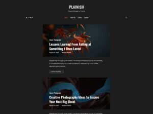 Free Plainish WordPress Theme