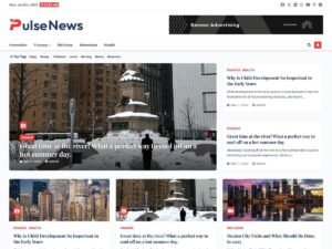 Free Pulse News WordPress Theme