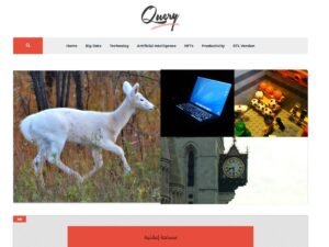Free Query WordPress Theme