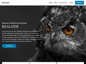 Free REALIZER WordPress Theme