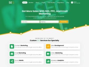 Free SEO Expert WordPress Theme
