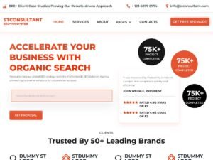 Free ST SEO Consultant WordPress Theme
