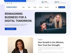 Free Siara Consultancy WordPress Theme