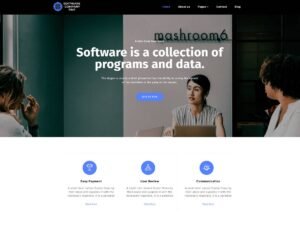 Free Software Company TWP WordPress Theme