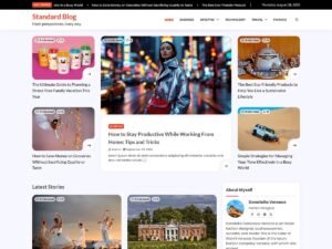 Free Standard Blog WordPress Theme