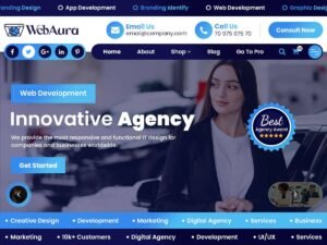 Free WebAura WordPress Theme