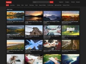 Free YouVideo WordPress Theme