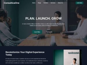 Free consulticaone WordPress Theme