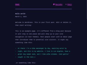 Free h4x0r WordPress Theme