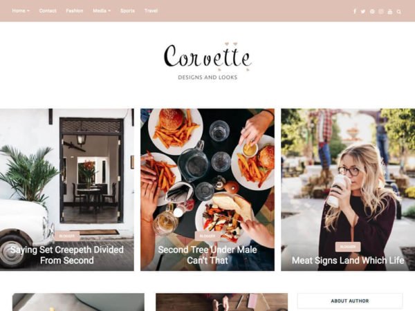 multipurpose wordpress theme