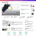 speedify pagespeed optimized wp theme