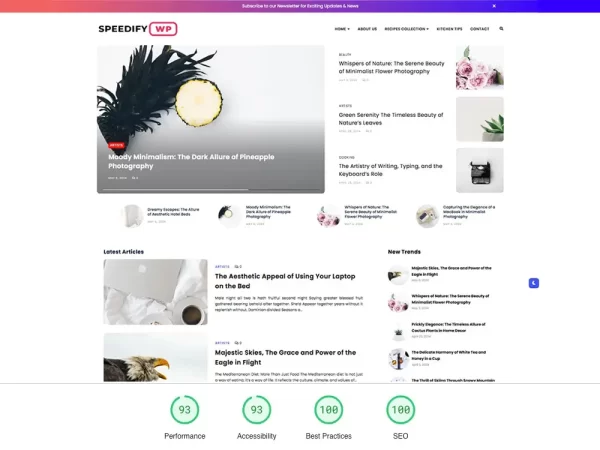 speedify pagespeed optimized wp theme